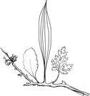 logo-2